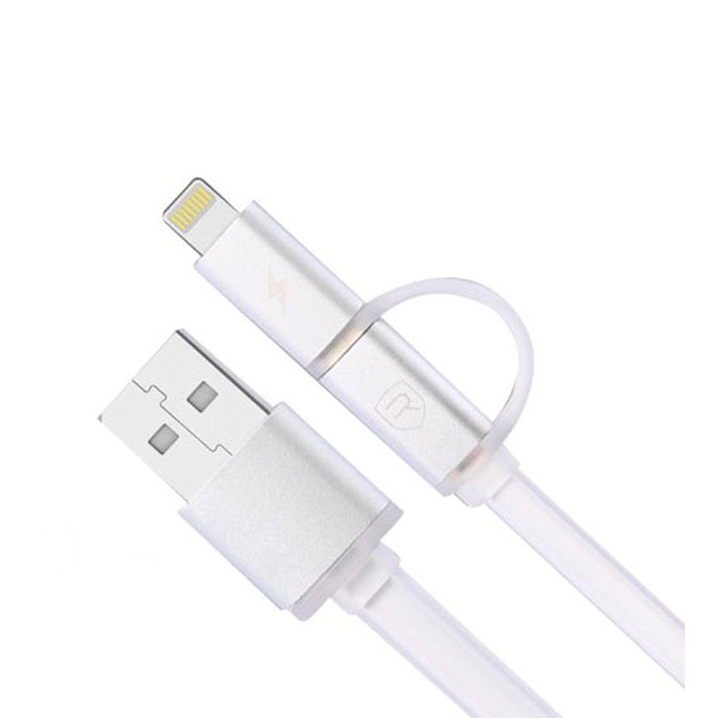 2 in 1 Micro USB & USB-C Charge Sync Cable Silver